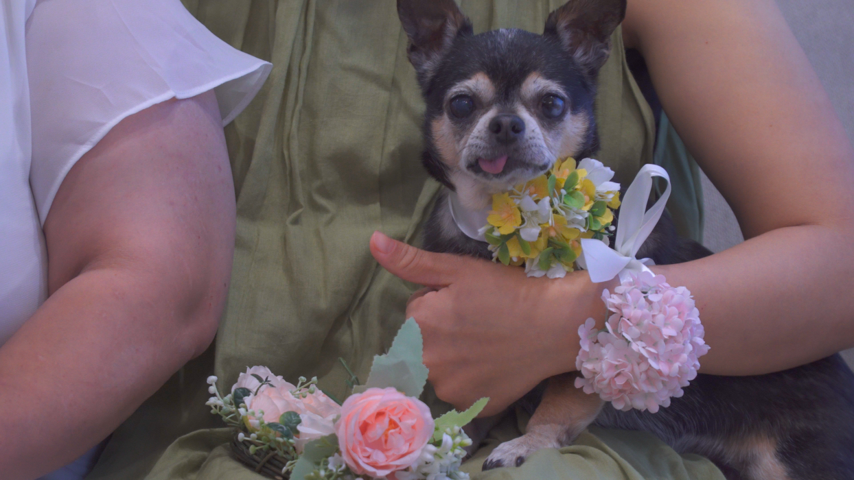 마루와 내 친구의 결혼식 이미지 2