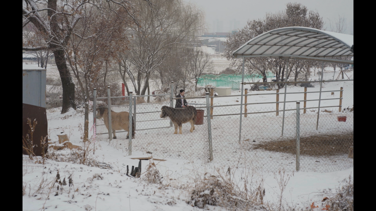 계륵인간 이미지 3