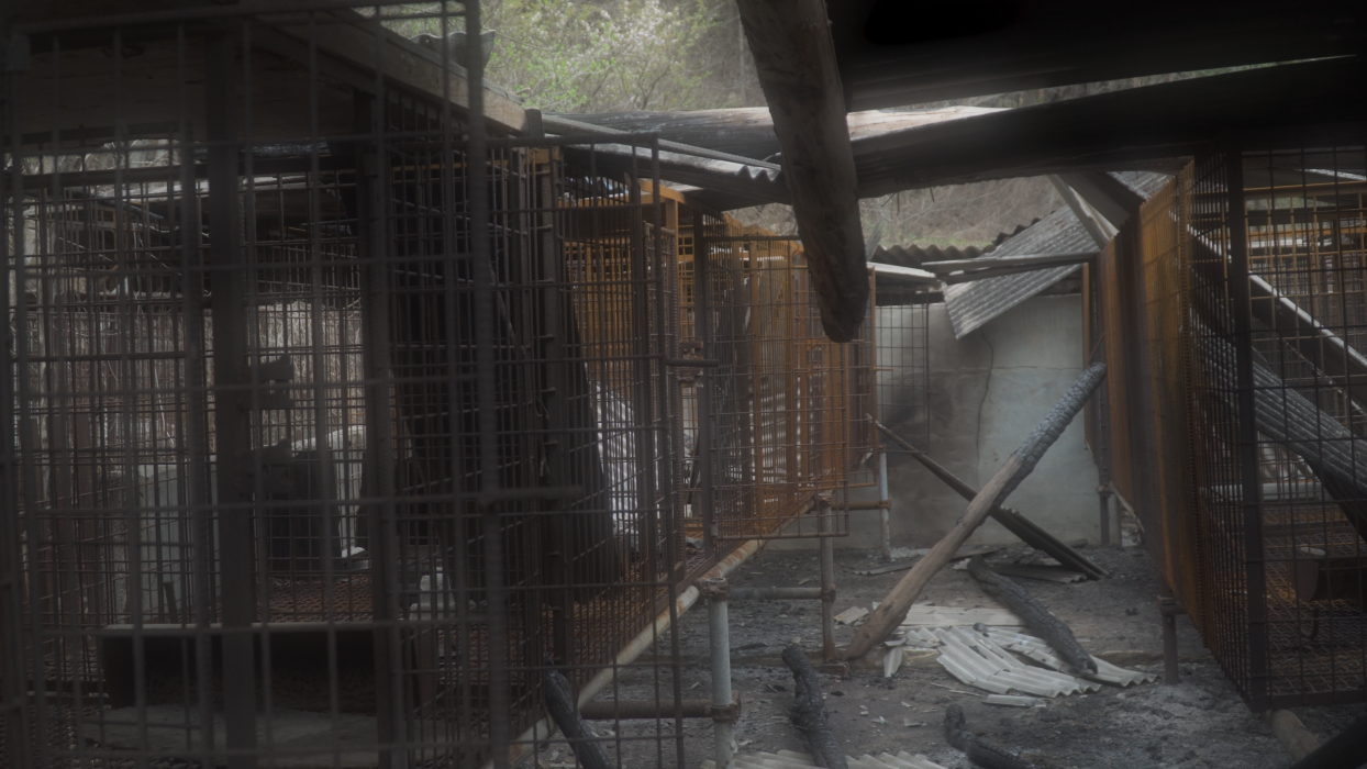 마루와 내 친구의 결혼식 이미지 3