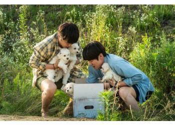 2회(2024) 멍뭉이